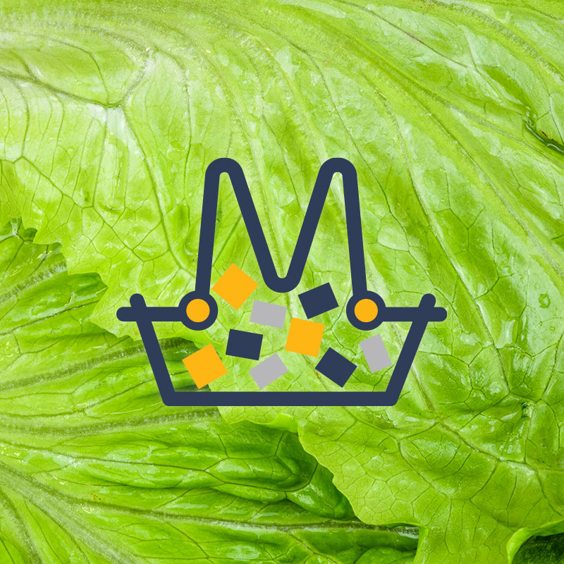 Salata verde Bio (d